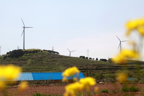 這是5月6日拍攝的山東威海中廣核風電場。