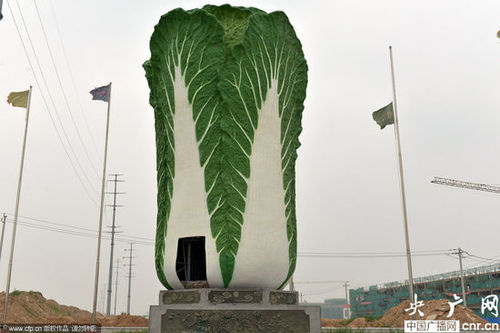 2014年06月16日，位于山東聊城農(nóng)產(chǎn)品物流交易中心北門的巨型“白菜”雕塑，“白菜”雕塑，高9米、直徑5.8米、重3噸，吸引不少市民圍觀。