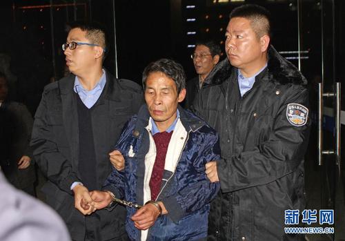 11月4日，嫌犯張樣喜被緝捕人員押往弋陽縣公安局。經(jīng)警方證實(shí)，江西弋陽縣砍殺3名小學(xué)生，導(dǎo)致2死1重傷的嫌犯張樣喜，已于4日17時(shí)40分左右被警方抓獲。 10月31日上午11時(shí)45分左右，江西省上饒市弋陽縣圭峰鎮(zhèn)羅家村3名一年級(jí)小學(xué)生在放學(xué)回家途中被一男子砍殺，致2死1重傷。新華社發(fā)（彭俊 攝）