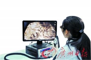 工作人員正在對(duì)一片出土的金箔進(jìn)行分析和信息采集。