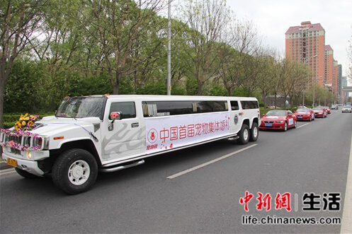 QQ截圖20150413091630