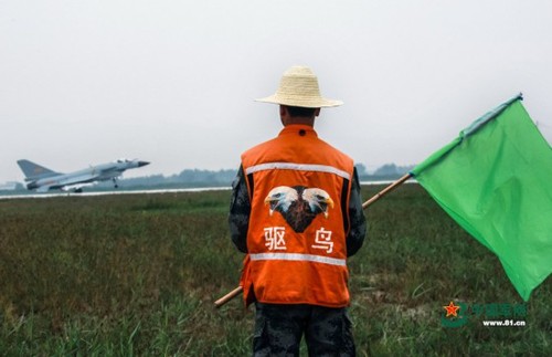 不是所有空軍都駕駛戰(zhàn)機飛翔在天空，比如地上的驅(qū)鳥兵，他們默默無聞保護戰(zhàn)機起飛不受飛鳥影響。張鵬炎 攝