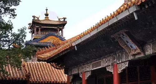 點(diǎn)擊進(jìn)入下一頁