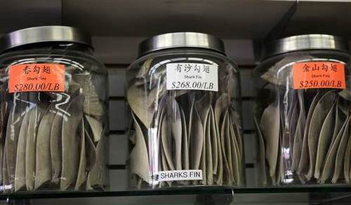 魚翅售價(jià)不菲，但用它做的湯往往作為地位的象征，出現(xiàn)在中國傳統(tǒng)婚宴上。