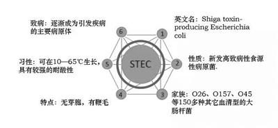 點擊進(jìn)入下一頁
