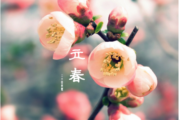 B8CE81CDCF9DC80F33F0EF7ABB96880F