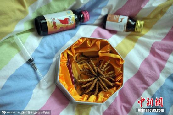 資料圖：冬蟲夏草。 圖片來源：CFP視覺中國