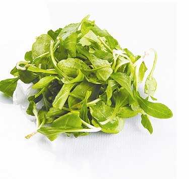 春天野菜多 都有什么營(yíng)養(yǎng)價(jià)值？