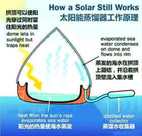 假如被困海上 該選擇喝尿還是喝海水？