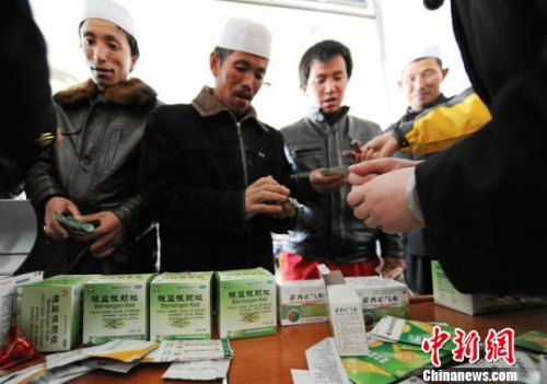 資料圖。楊艷敏 攝