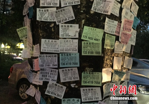 立水橋地鐵站附近張貼漲路邊的租房信息。<a target='_blank' href='http://www.chinanews.com/' >中新網(wǎng)</a> 馬榕 攝
