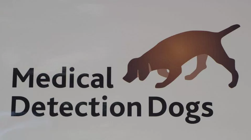 黛西的主人克萊爾-蓋斯特博士是“醫(yī)療偵測犬”（Medical Detection Dogs）組織的主管，該組織是進行犬類助診疾病研究的慈善團體，其研究具有十分寶貴的醫(yī)學(xué)價值。