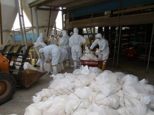 臺南下營一處蛋雞場，檢驗(yàn)出H5N2，動保處人員撲殺7782只蛋雞。來源：臺灣《聯(lián)合報(bào)》(臺南市農(nóng)業(yè)局動保處提供)