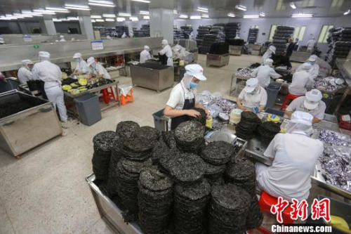 晉江阿一波壇紫菜生產(chǎn)車間一角。　李志江 攝