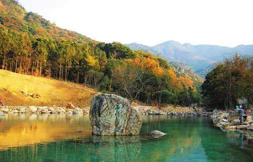 廣東森林公園1351個(gè)全國最多2
