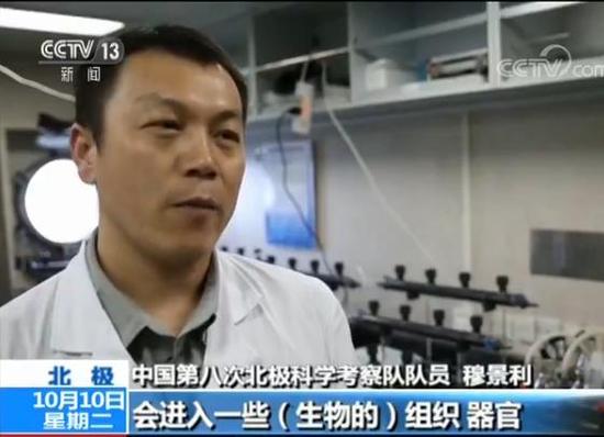 中國第八次北極科考完成 隊員講述防北極熊經(jīng)歷