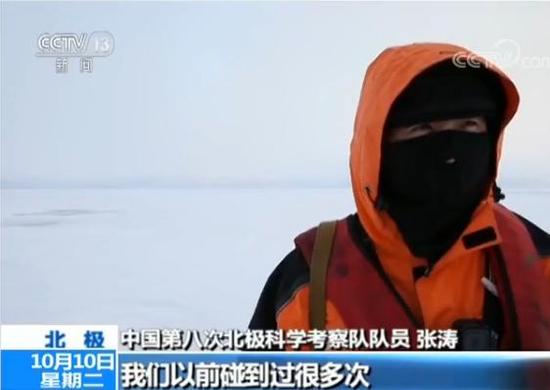 中國第八次北極科考完成 隊員講述防北極熊經(jīng)歷