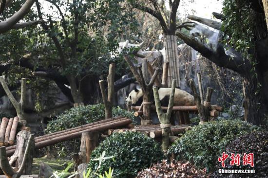 點擊進(jìn)入下一頁