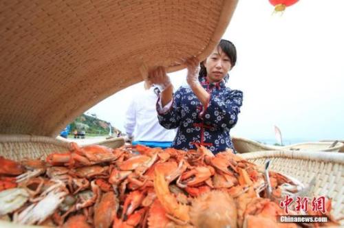資料圖：螃蟹等海鮮走入尋常百姓家。<a target='_blank' href='http://www.chinanews.com/'>中新社</a>記者 楊兵 攝