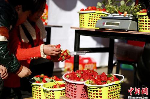 點擊進(jìn)入下一頁