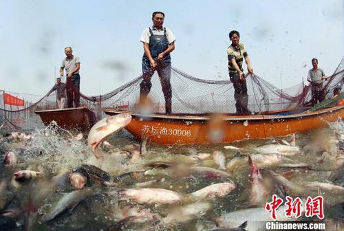 一大網(wǎng)下去撈大魚?！￡愋隆z
