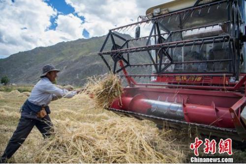 點(diǎn)擊進(jìn)入下一頁
