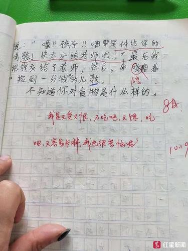 小學(xué)生作文《可憐啊》走紅 哀嘆每天才5毛零花錢(qián)