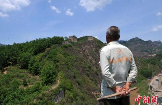  河北農(nóng)民保護(hù)員39年守護(hù)“原汁原味”的長(zhǎng)城。 中新社記者 韓冰 攝
