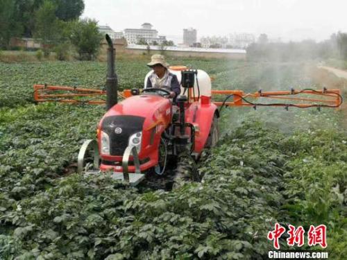 資料圖：農(nóng)民給馬鈴薯噴灑追肥。陳得軍 攝