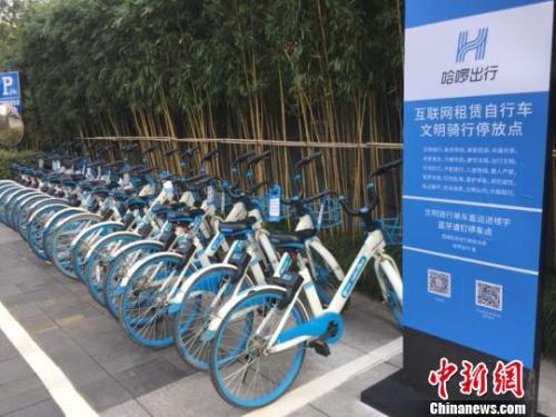 哈啰單車停放點。應(yīng)新睿 攝