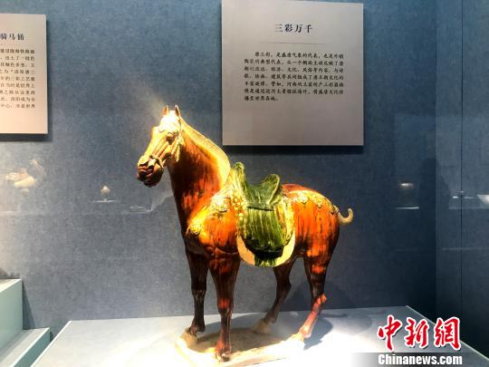 圖為展出的唐三彩馬?！〈藜衙?攝