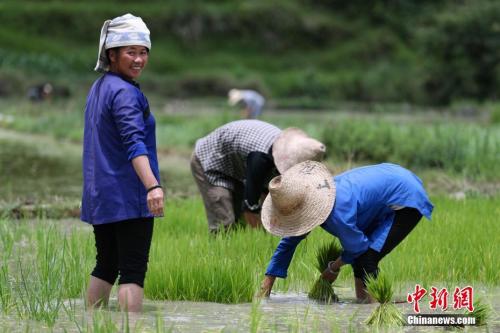 點(diǎn)擊進(jìn)入下一頁