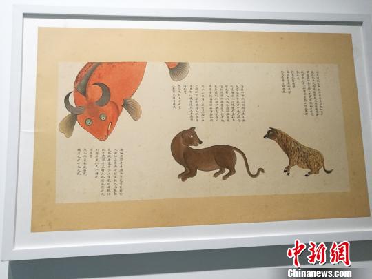 “故宮里的海洋世界--《海錯(cuò)圖》多媒體綜合展”，11日下午在深圳海上世界藝術(shù)文化中心開幕?！∴嵭〖t 攝