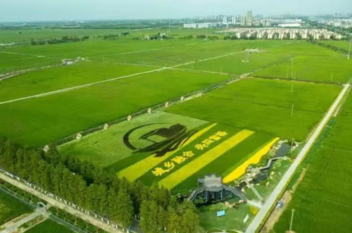 微信截圖_20240612170412