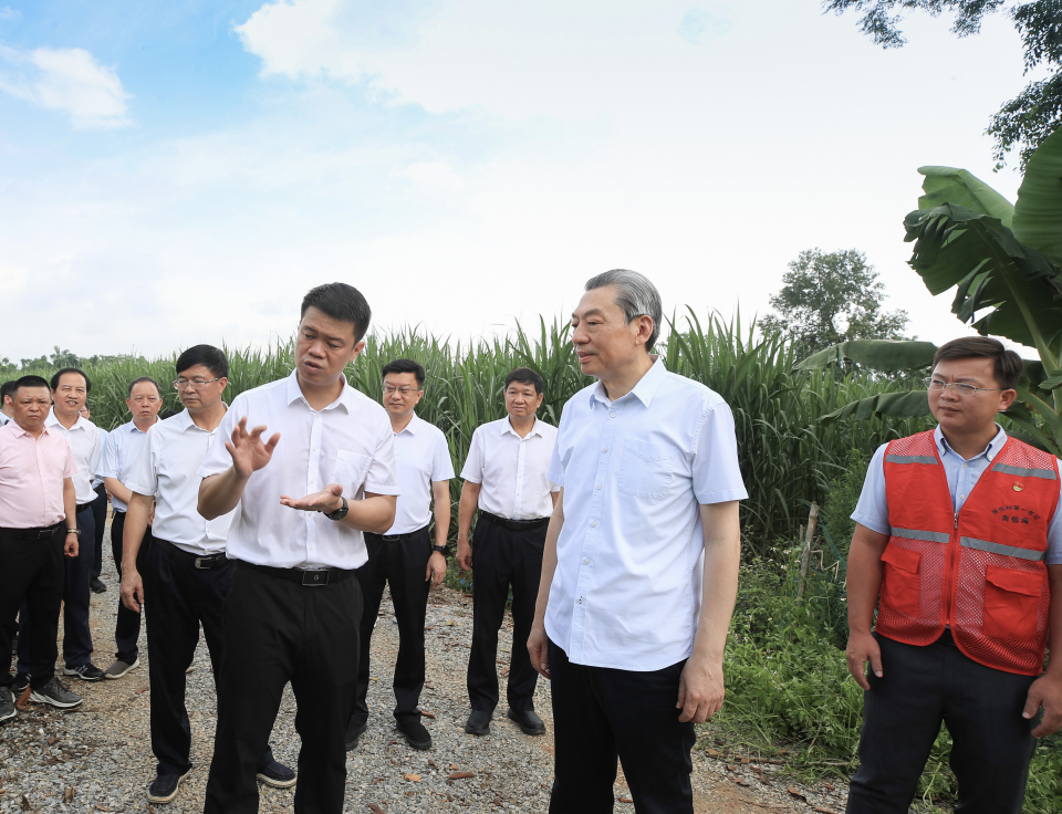 廣西壯族自治區(qū)政協(xié)主席孫大偉圍繞鞏固拓展脫貧攻堅成果同鄉(xiāng)村振興有效銜接工作開展調研