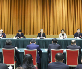 趙樂際參加致公黨、僑聯(lián)、對(duì)外友好界委員聯(lián)組會(huì)