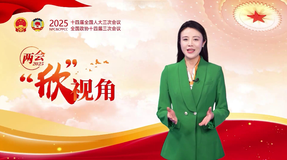 兩會(huì)“欣”視角丨數(shù)字背后的思想偉力