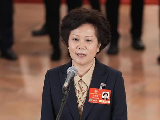 陳清莉委員：希望越來(lái)越多臺(tái)灣同胞把握好大陸難得的發(fā)展機(jī)遇