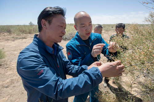 （416配稿）劉宏義：扎根戈壁，鑄就綠色(7011941)-20250421085901